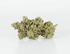 Northern Lights is a classic pure indica with 16–21% THC