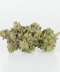 Northern Lights is a classic pure indica with 16–21% THC