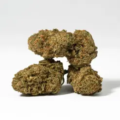 Alternative view of Orange Octane (AA)