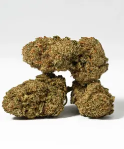 Alternative view of Orange Octane (AA)