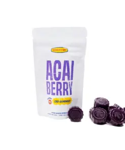 One Stop CBD Gummies 500mg - Acai Berry