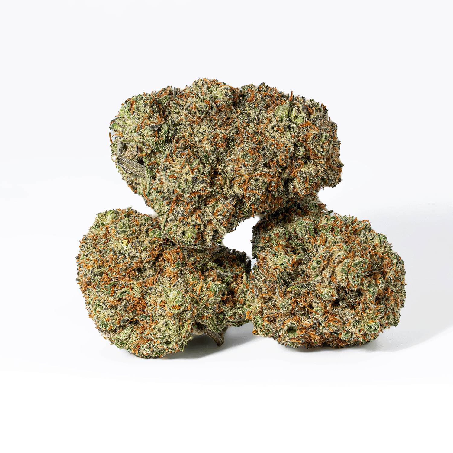 Blackberry Headband (AAA+)