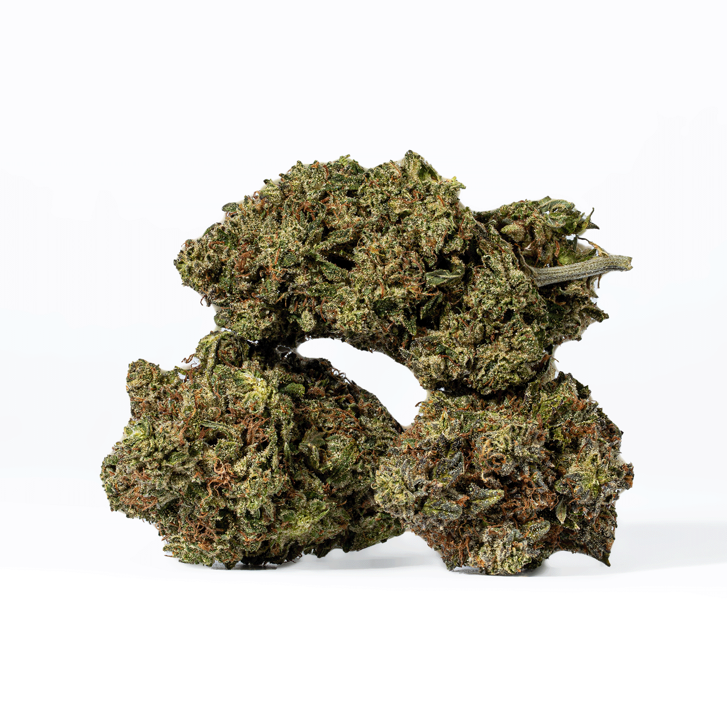 Comatose (AAA+) - Image 2