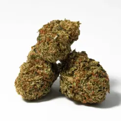 Alternative view of Penelope (AA)