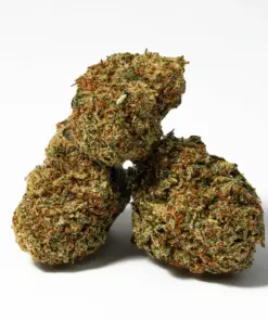 Alternative view of Penelope (AA)