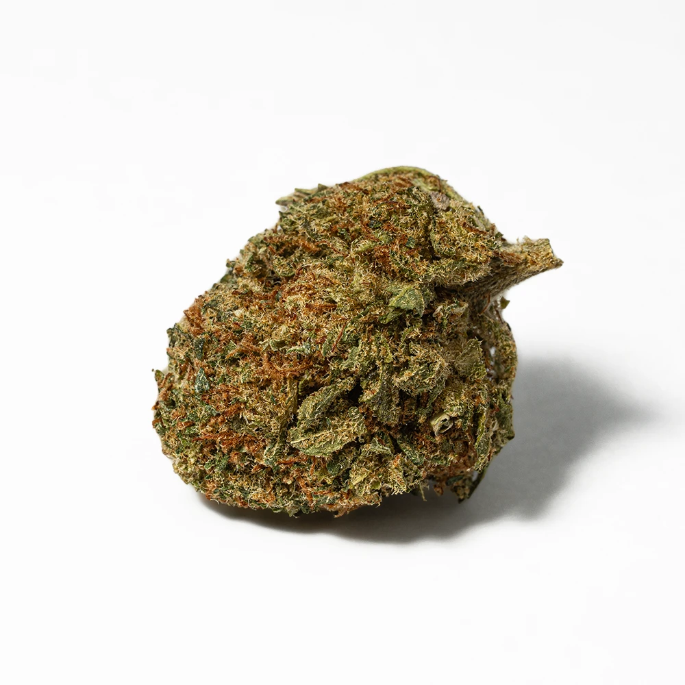 Penelope (AA) - Image 3