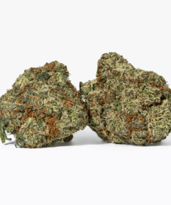 Alternative view of Cherry Dosi (AAA+)