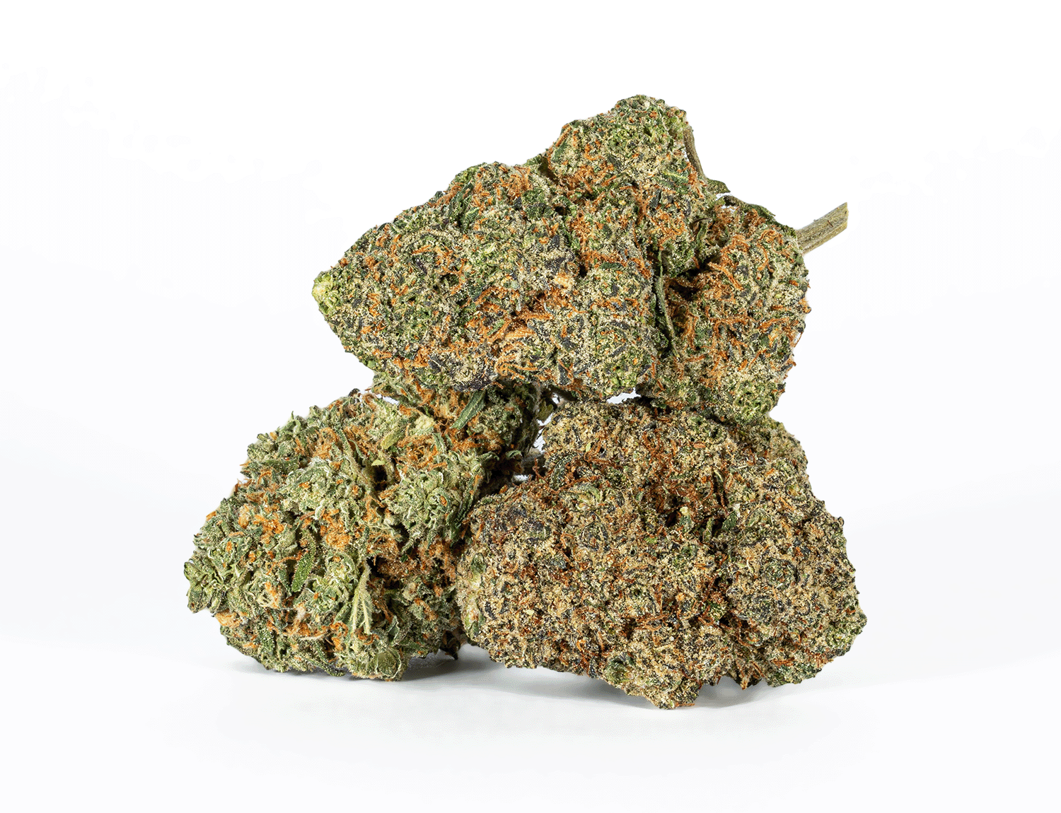 Polar Pop (AA) - Image 2