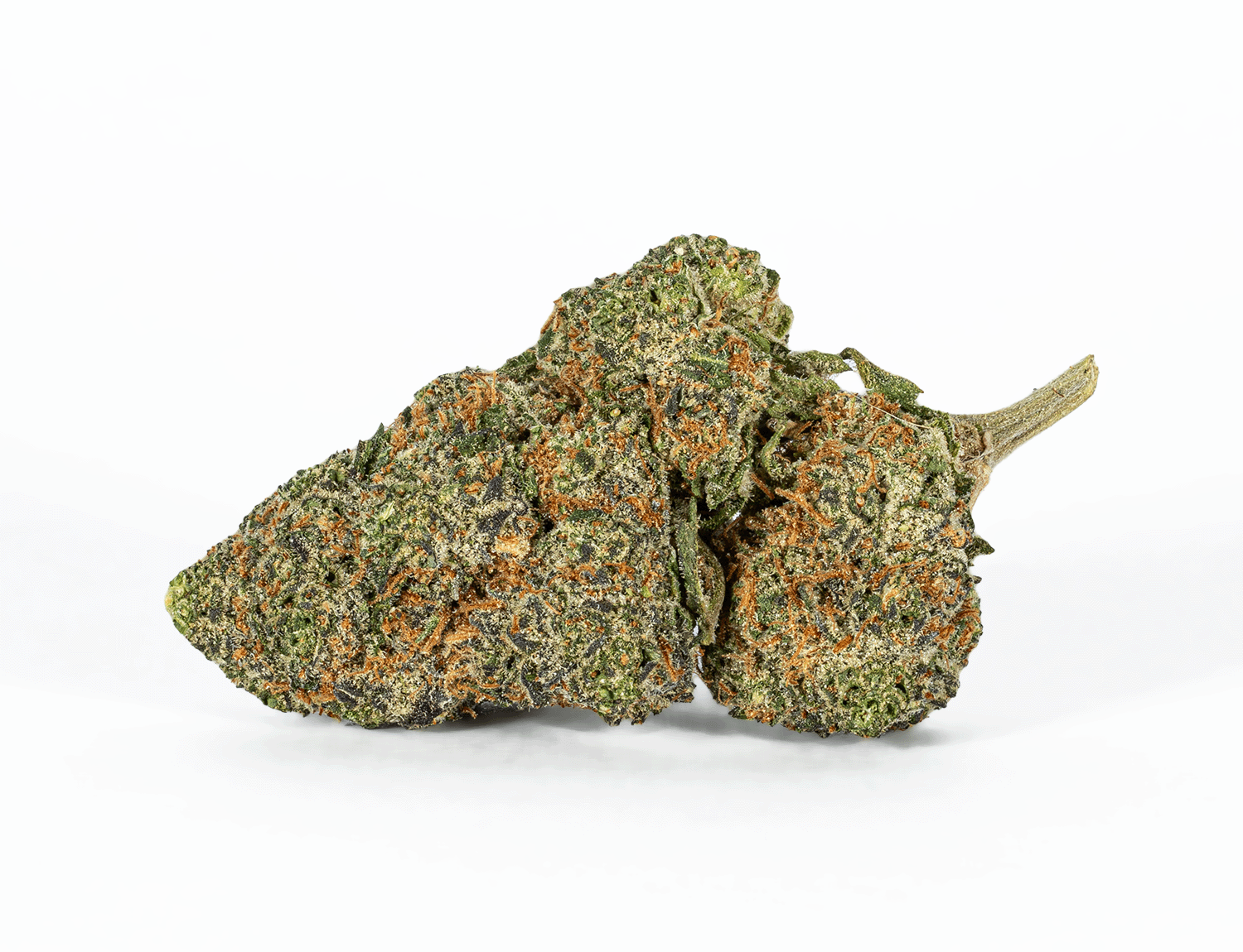 Polar Pop (AA) - Image 3