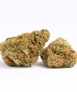 Panama Red is an icon of cannabis history