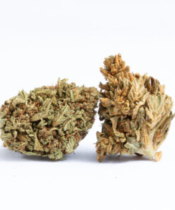Pitbull is a balanced indica hybrid bred for strength