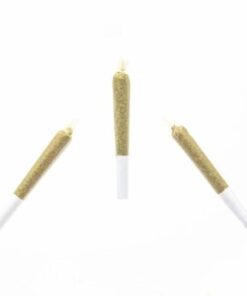 Premium Infused 0.5g House Joints - 2 Pack