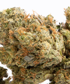 Alternative view of Pussy Pink (AAA+)