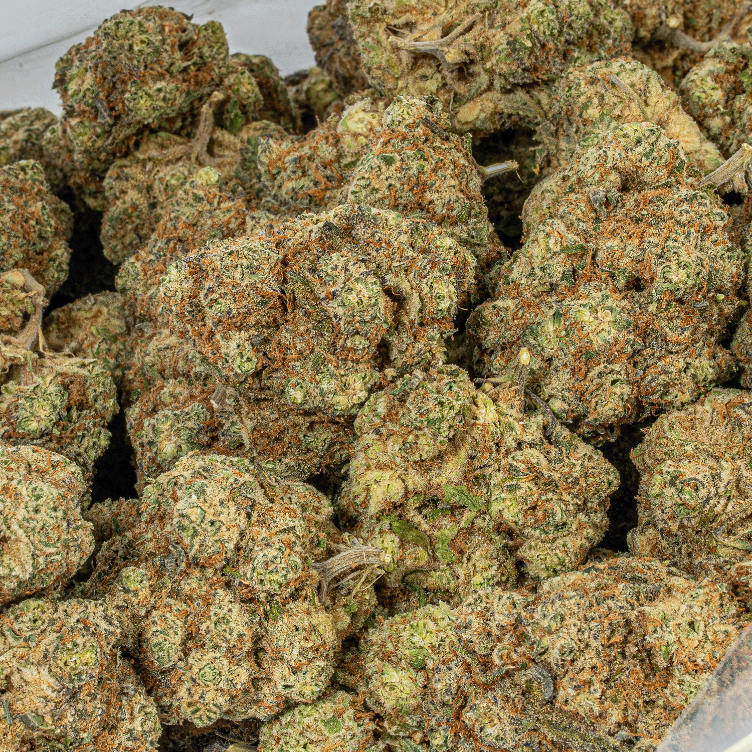 Mandarin Zkittlez (AAA+) - Image 5