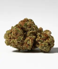 Alternative view of (Smalls) Raspberry Parfait (AA)