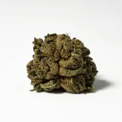 Alternative view of (Smalls) Red Octane (AA)