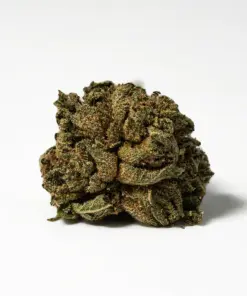 Alternative view of (Smalls) Red Octane (AA)