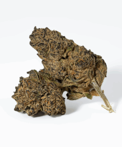 Alternative view of Purple Pinecone (AA+)