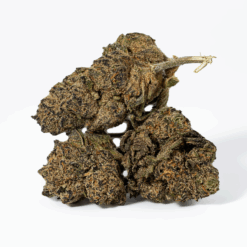 Purple Pinecone (AA+)