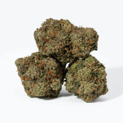 Rockstar Tuna (AAA+)