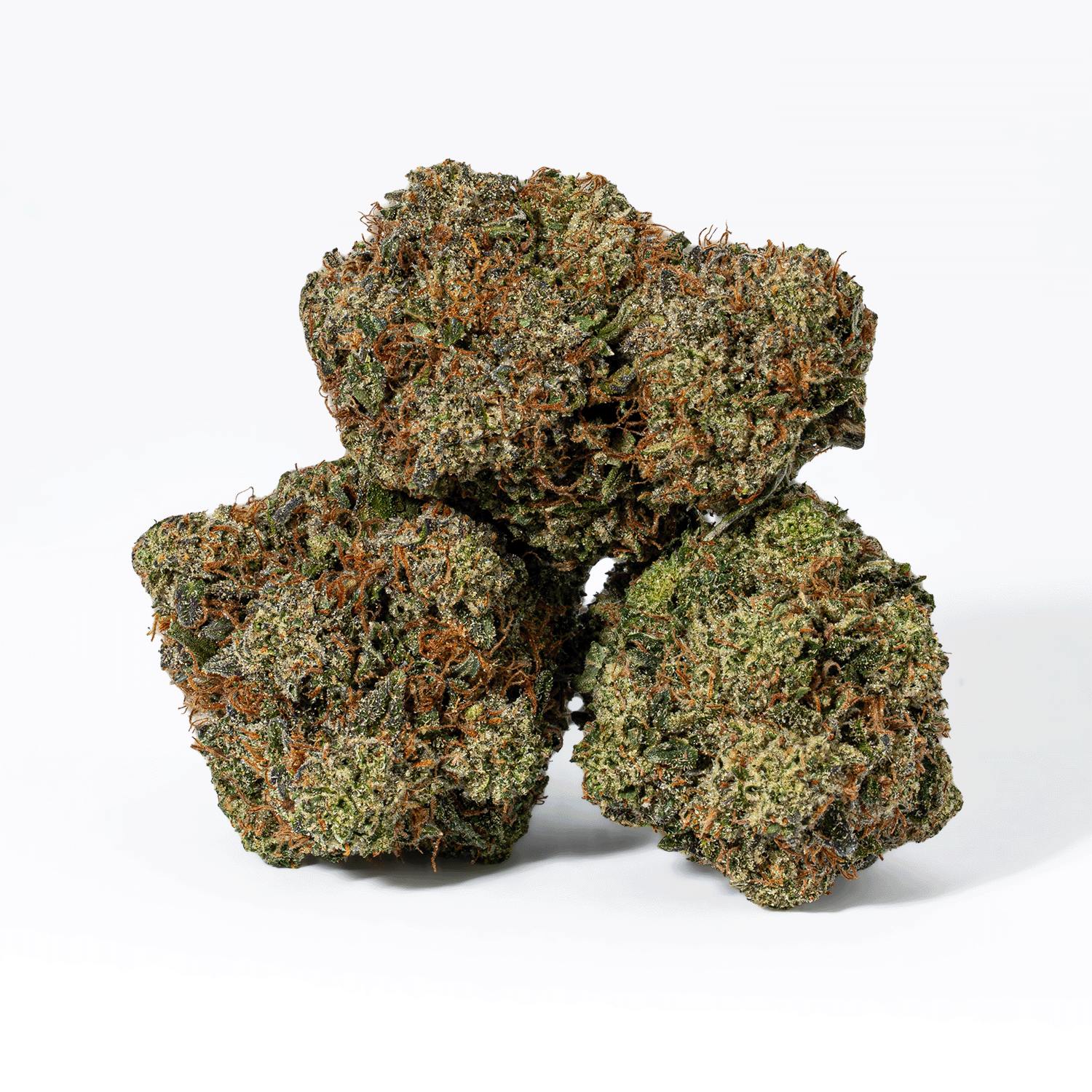 Rockstar Tuna (AAA+)