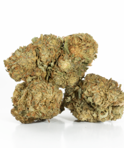 Alternative view of Romulan (AA)