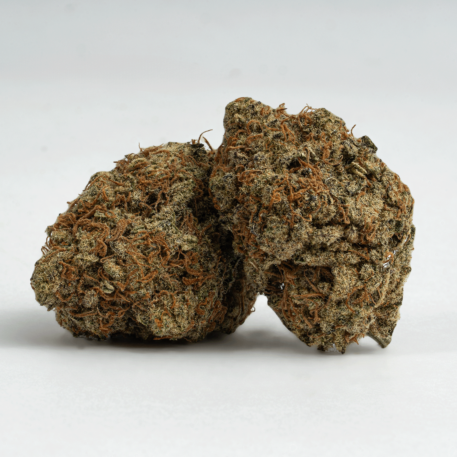 Silver Haze produces a bright