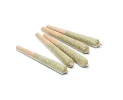 Alternative view of Scout - 5 Pack Pre-Rolls (0.5g) - Indica