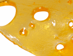Alternative view of House Shatter - Girl Scout Cookies (Indica)