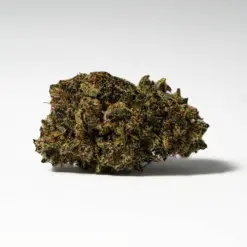 Alternative view of (Smalls) Tuna Kush (AAAA)