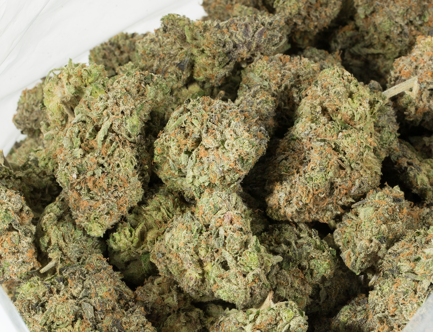 Tom Ford (AAAA+) - Image 4