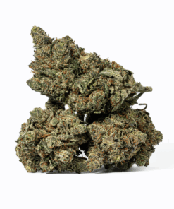 Purple Aurora (AAA+)