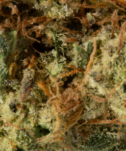 Alternative view of Triple Berry (AAA)