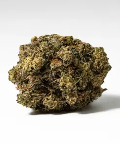 Alternative view of White Death (AAA)