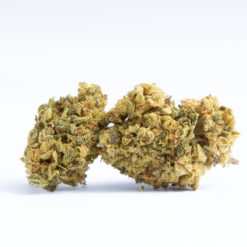 The White Castle high is very euphoric with sleepy overtones that can leave you dozing if you're not careful. The high comes on with a rush of happiness and an increase in sociability that leaves you chatty and outgoing