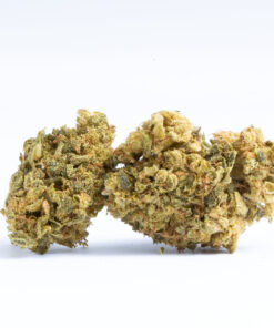 The White Castle high is very euphoric with sleepy overtones that can leave you dozing if you're not careful. The high comes on with a rush of happiness and an increase in sociability that leaves you chatty and outgoing