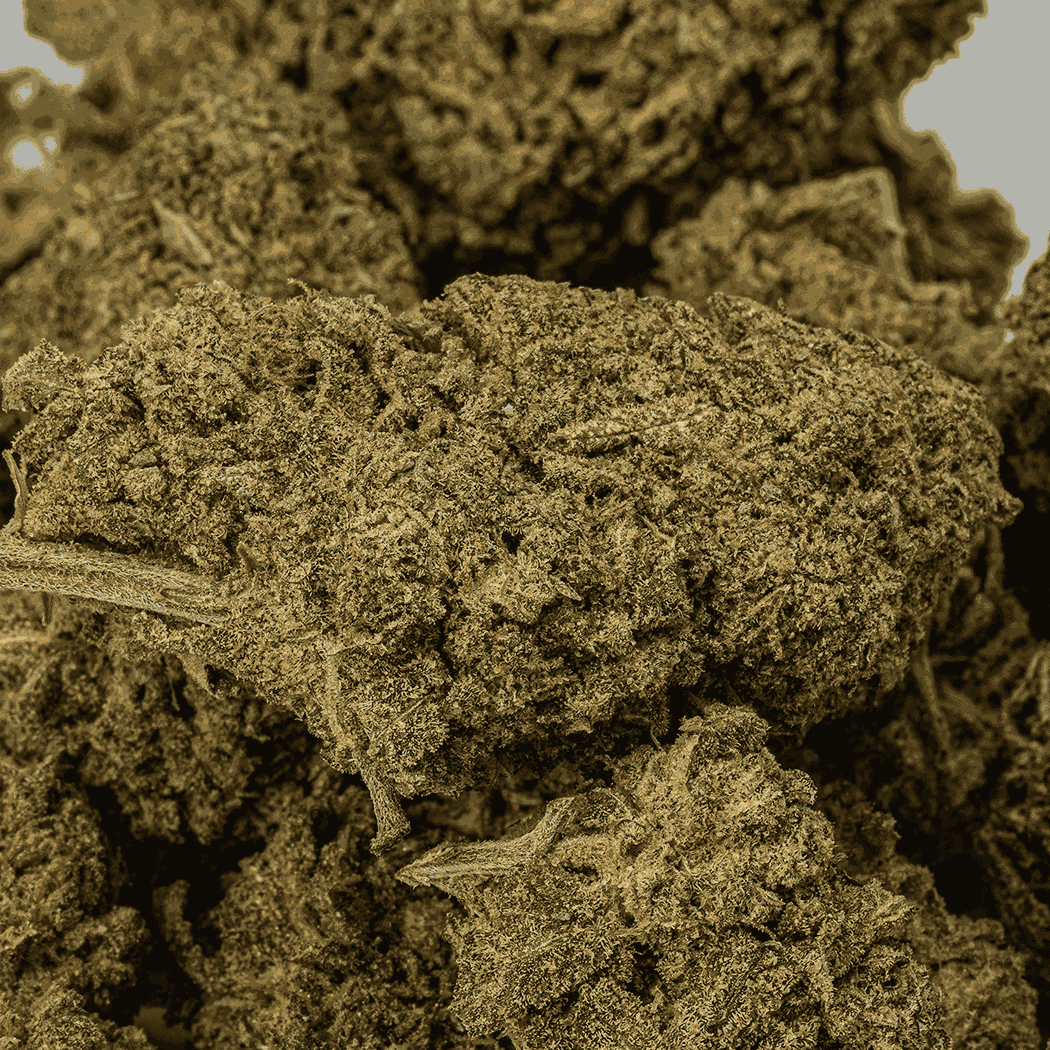 Alaskan Thunder Fuck (AA+) - Image 4