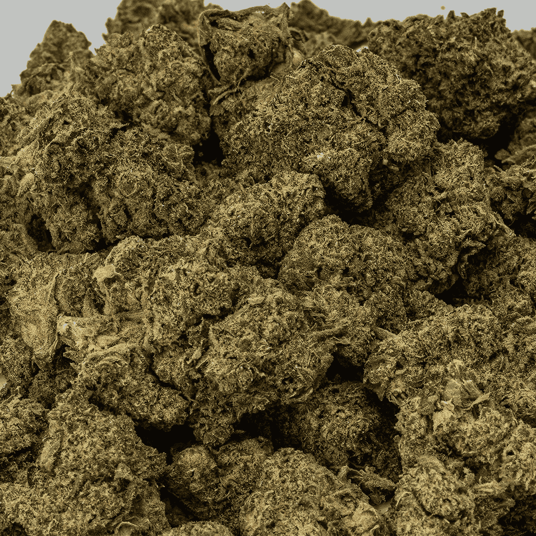 Banana Cream (AA+) - Image 4