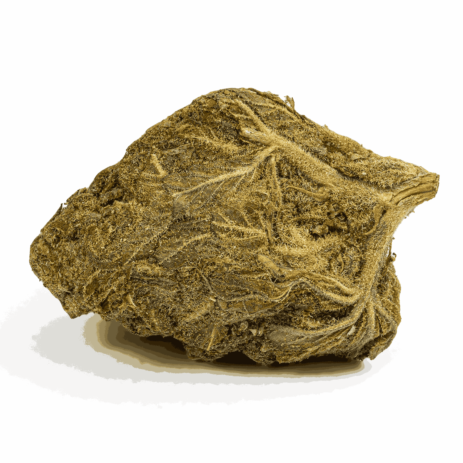 Banana OG (A) - Image 3