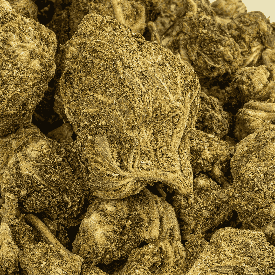 Banana OG (A) - Image 4