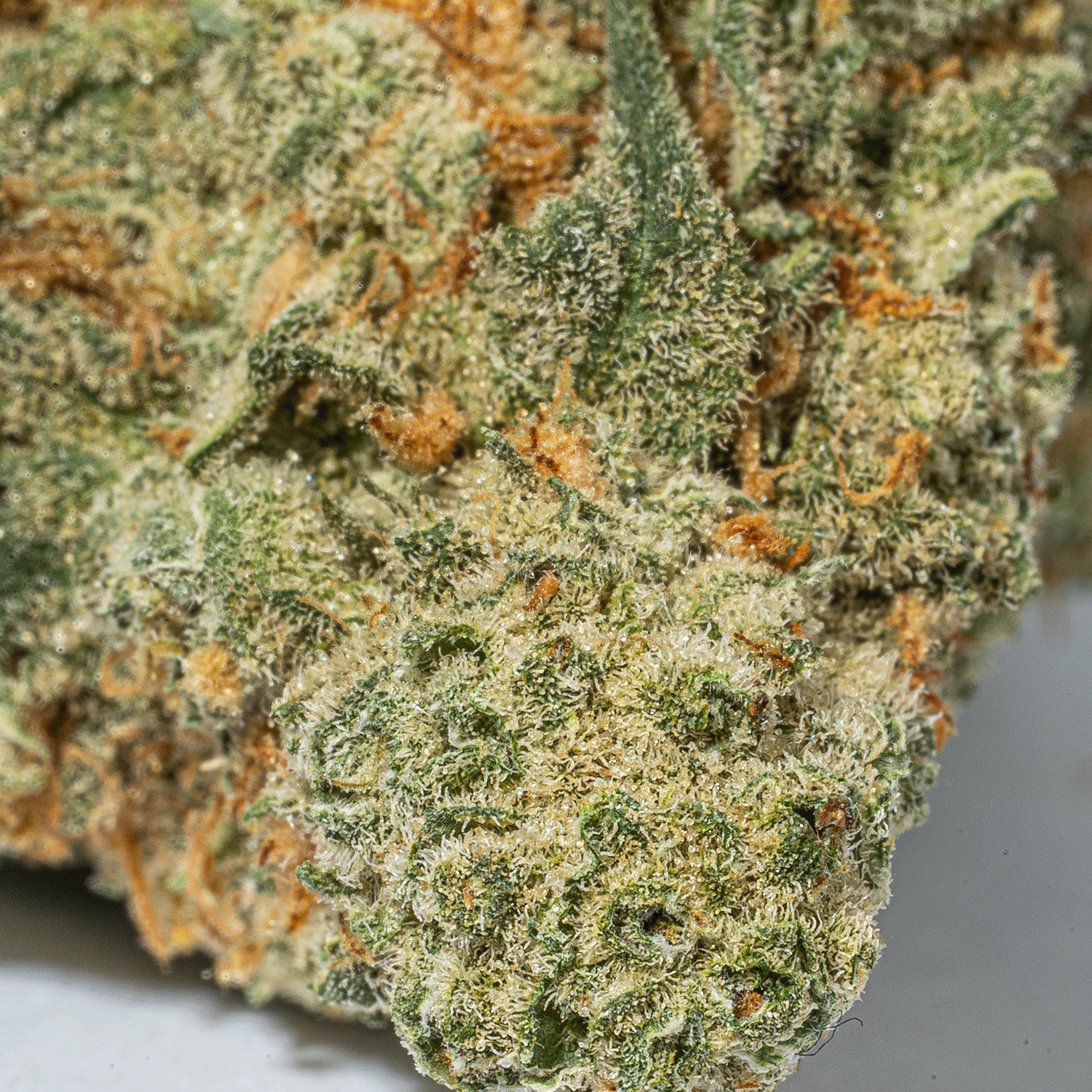 Super Nuken (AAA) - Image 5