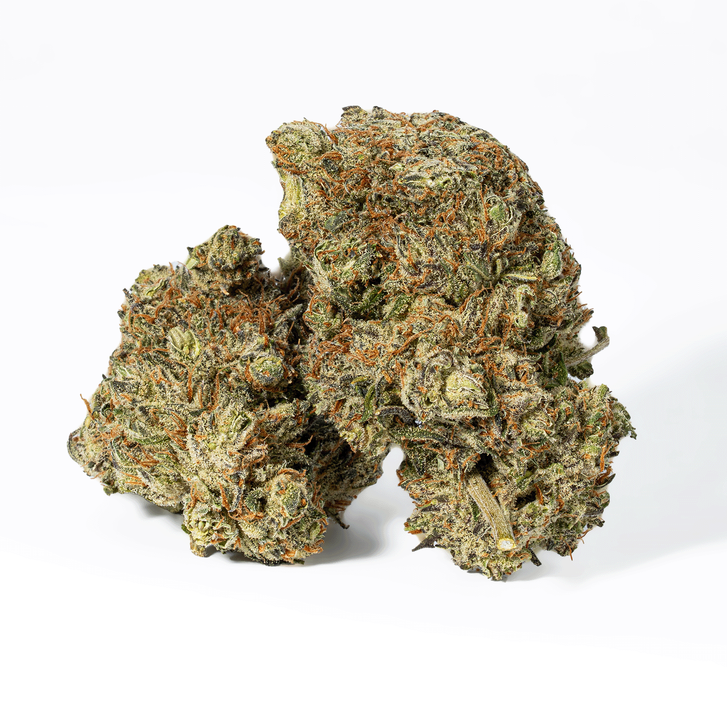 Montana Silver (AAA) - Image 2