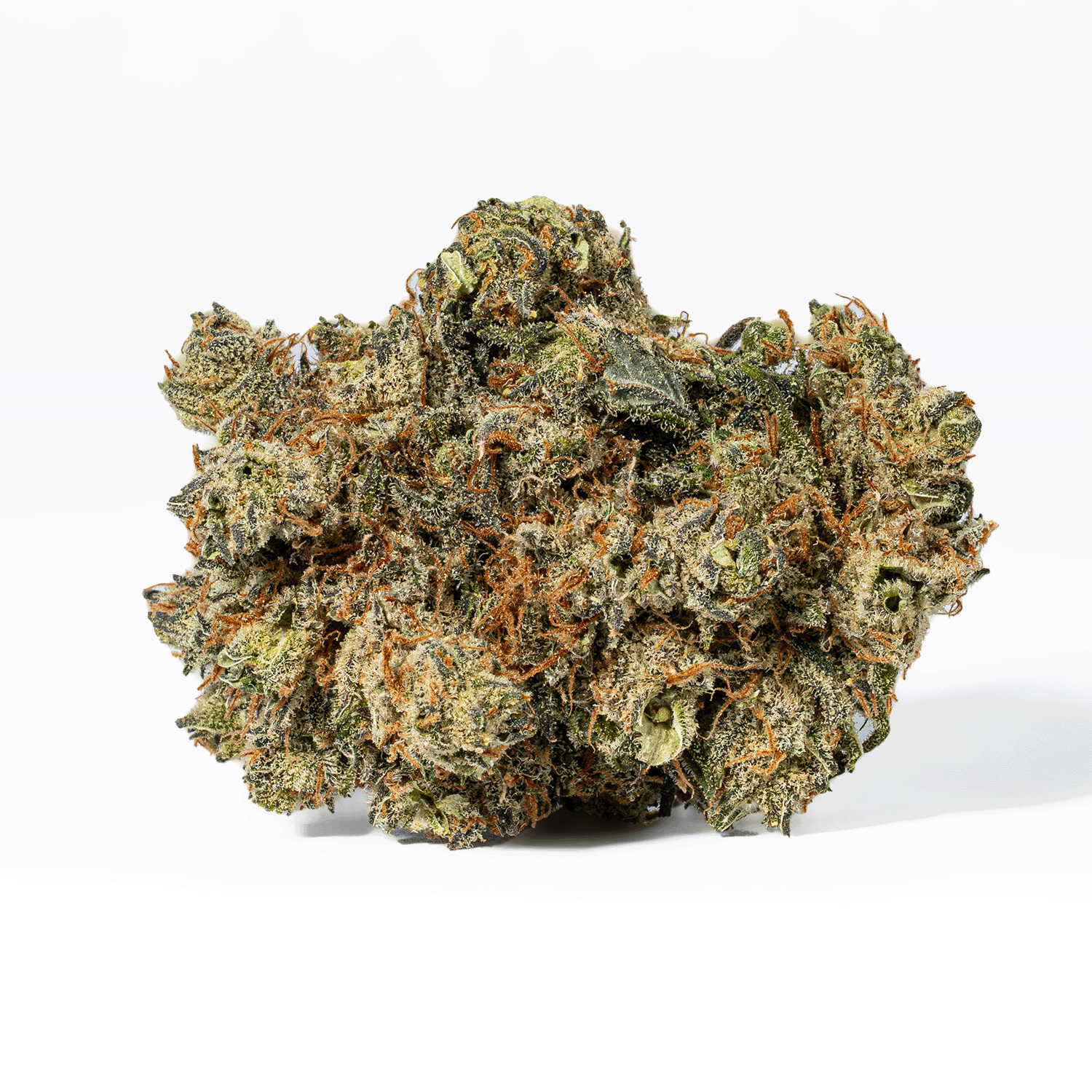 Montana Silver (AAA) - Image 3