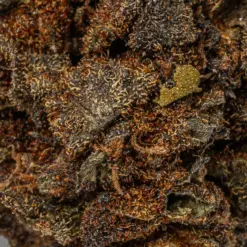 Alternative view of Black Jack (A)