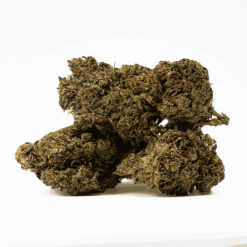 Alternative view of Black Jesus (AAA+)