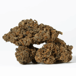 Alternative view of Blue Java (AA)