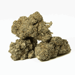 Alternative view of Candy Corn (AA+)