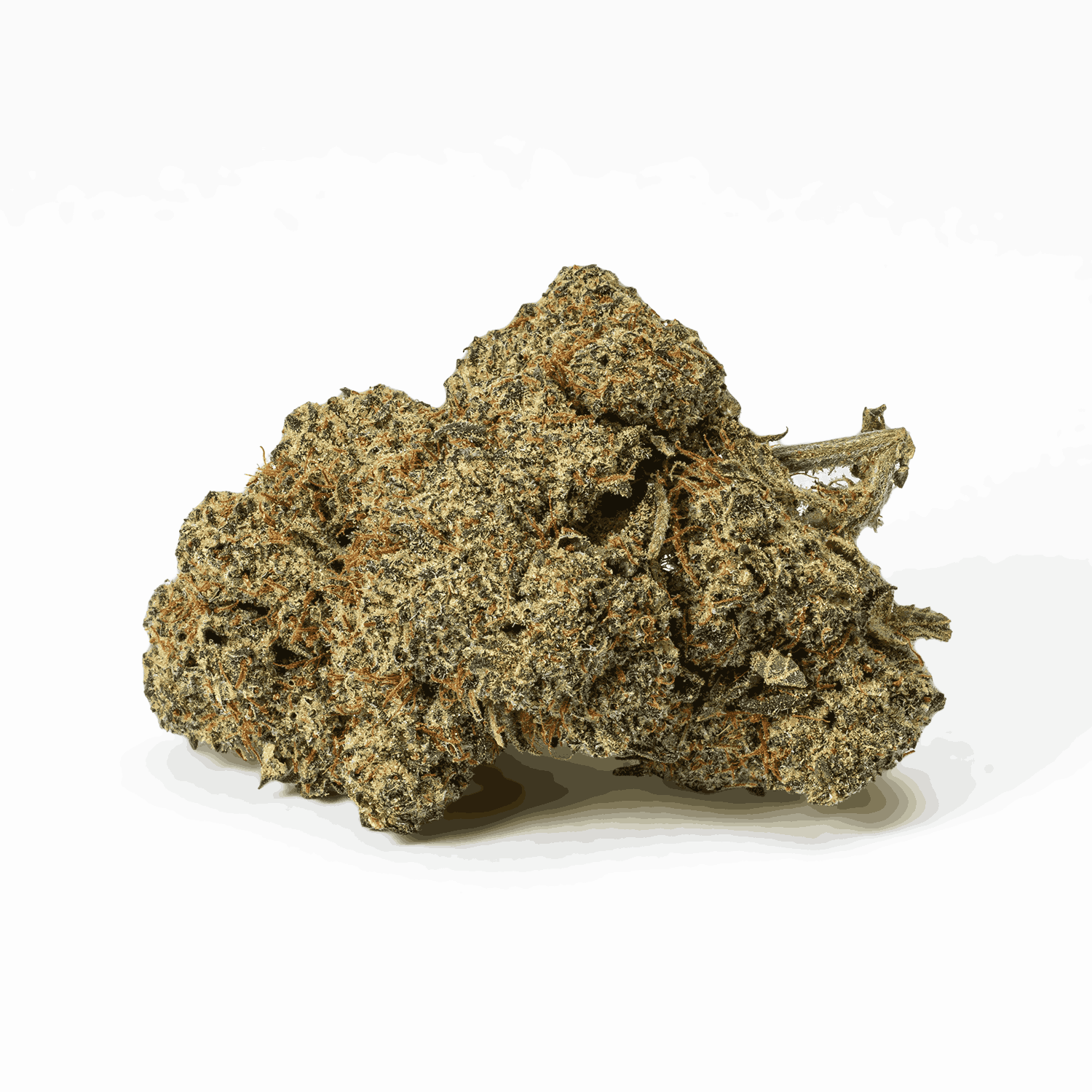 Candy Corn (AA+) - Image 3