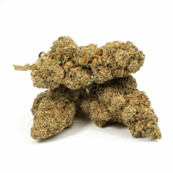 Alternative view of Cherry Pie (AA+)