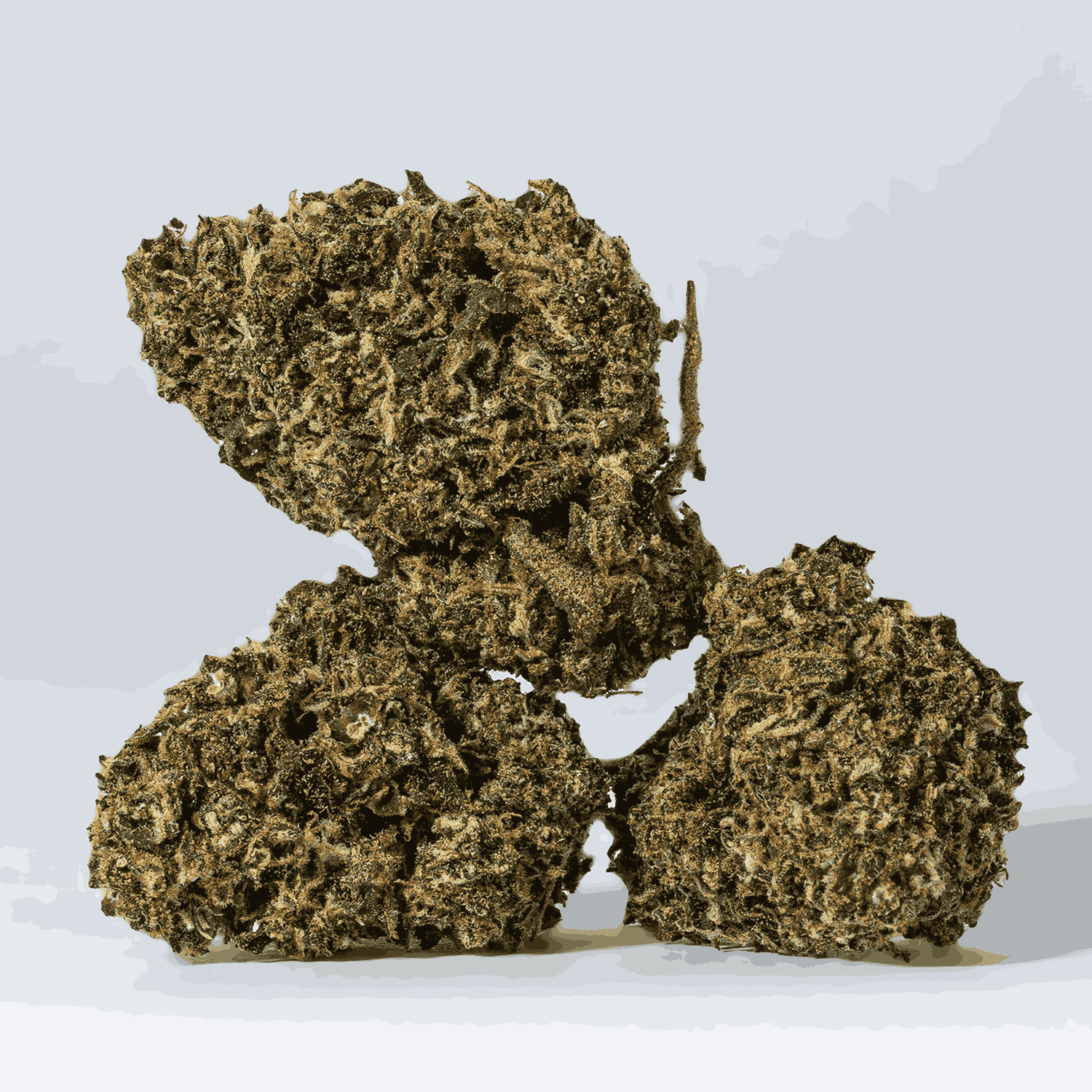 Dark Knight (AA) - Image 2